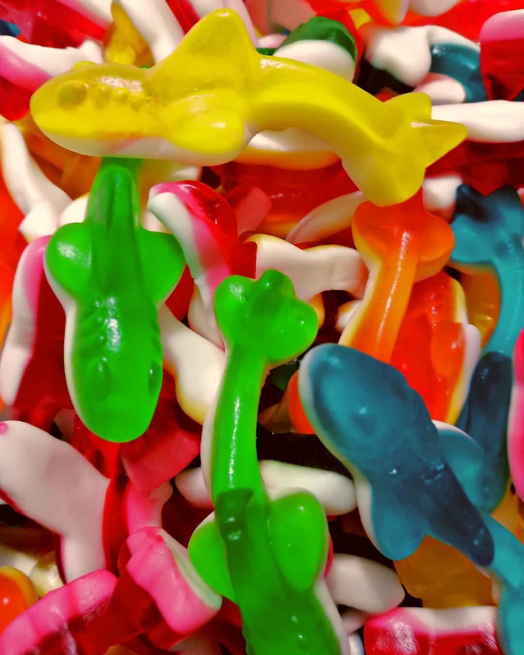 DULCEPLUS REQUINS LISSES Halal