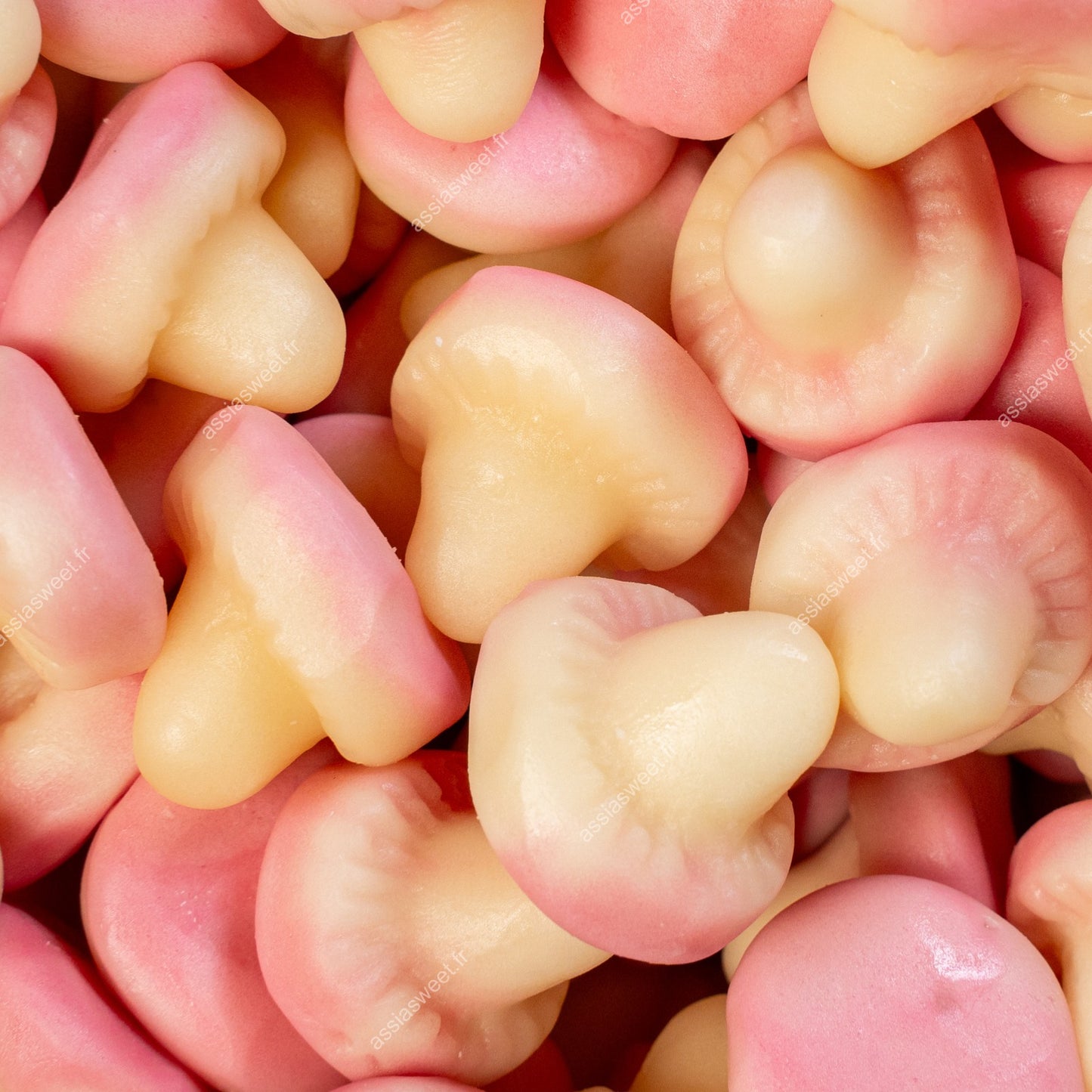 DULCEPLUS CHAMPIGNONS LISSE Halal